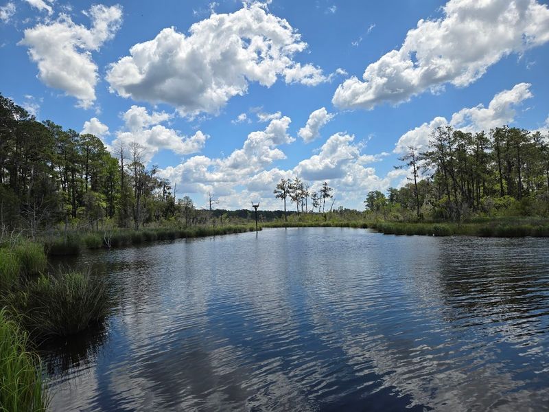 Goose Creek State Park