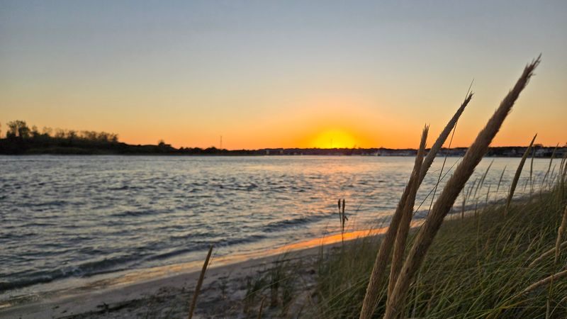 Fisherman's Cove – Macon