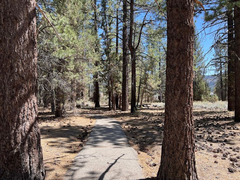 Why Early Morning Is The Best Time To Ride