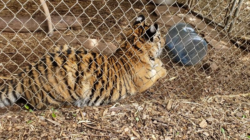 A refreshing break from screen-heavy plans