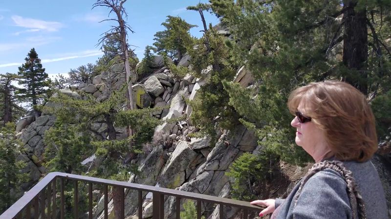 Idyllwild Campground, Mount San Jacinto State Park