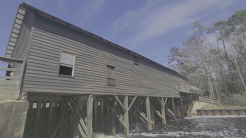 This Georgia Swamp Feels Like A Mirror-Covered Cypress Escape - Decor Hint Self-Guided Historic Mill Tours