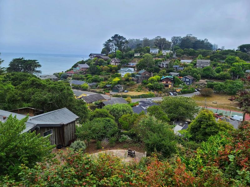Bolinas