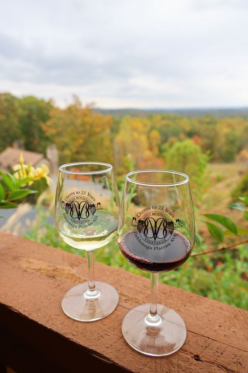 Live Music Events That Elevate the Atmosphere