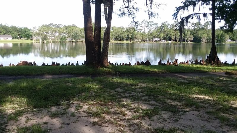 How To Plan Your Trip To Wewahitchka
