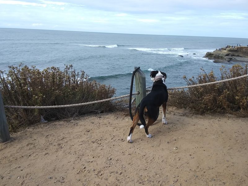 Oceanside Trail, Cabrillo National Monument, San Diego