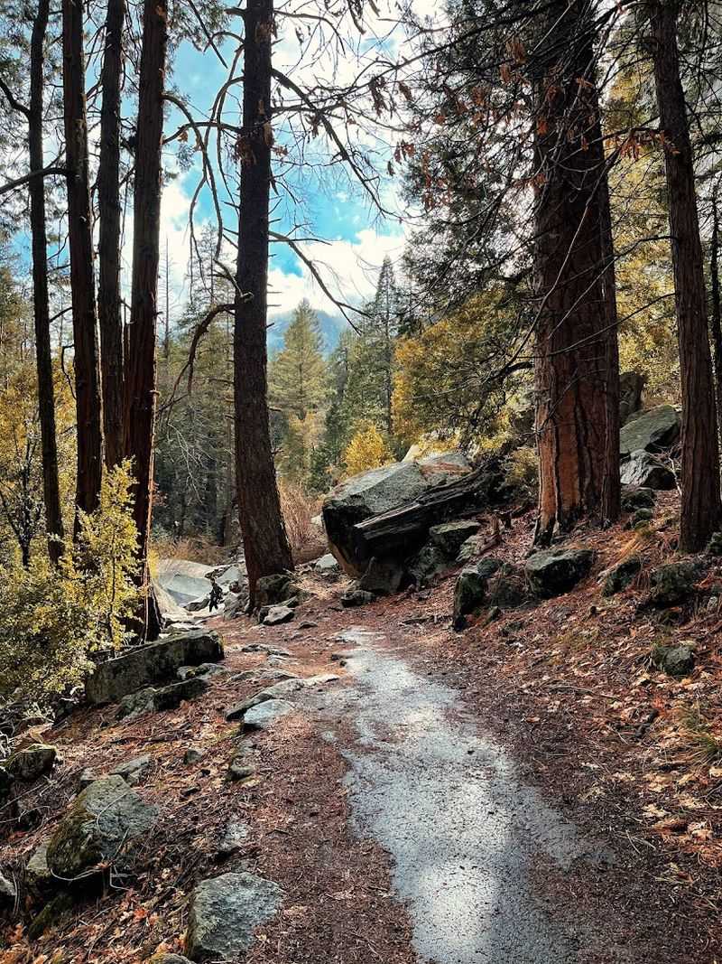 Spring And Early Summer Bring The Most Spectacular Reflections