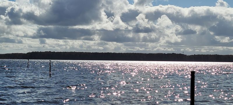 Tar-Pamlico River Water Trail