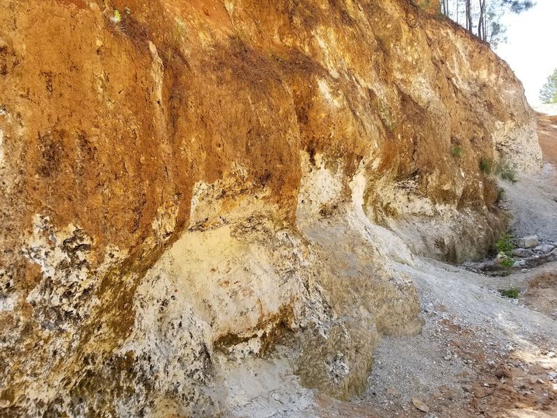 Educational Opportunity About Geology