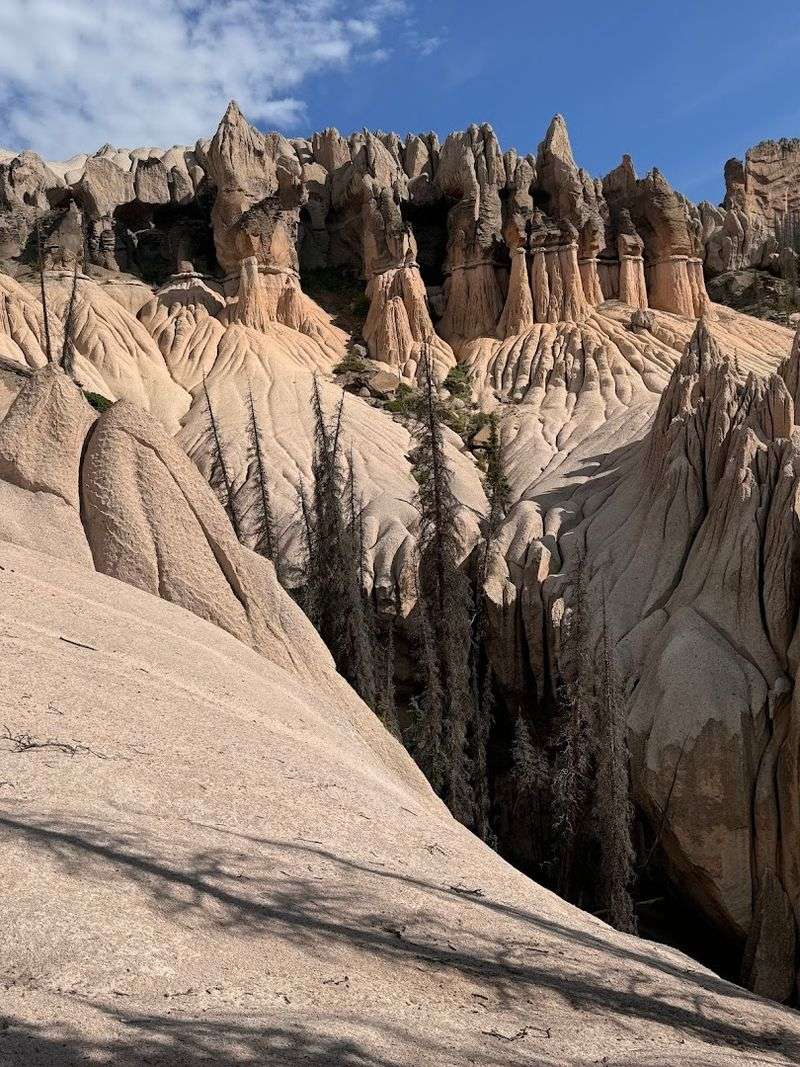 Wheeler Geologic Area