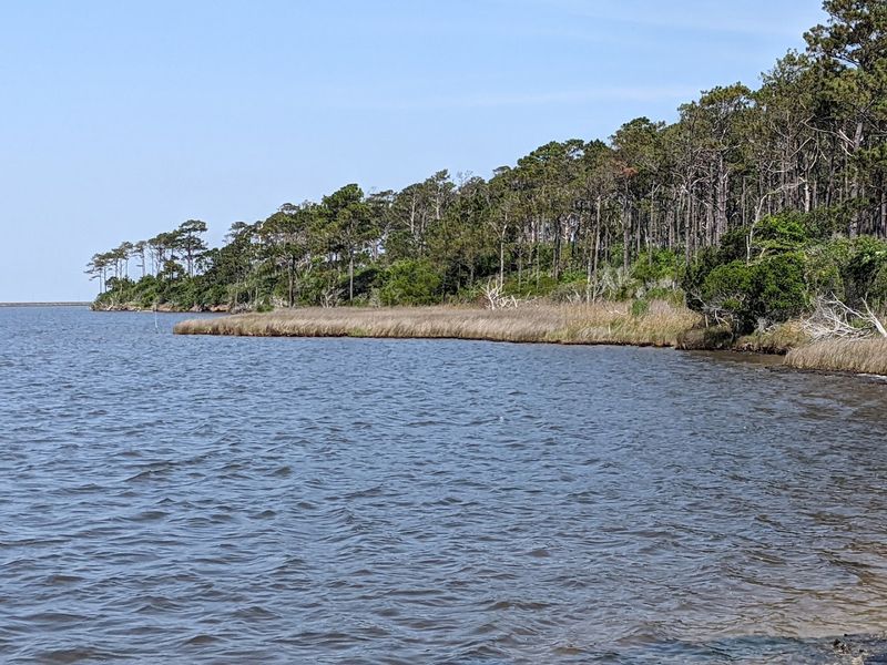 Cedar Island