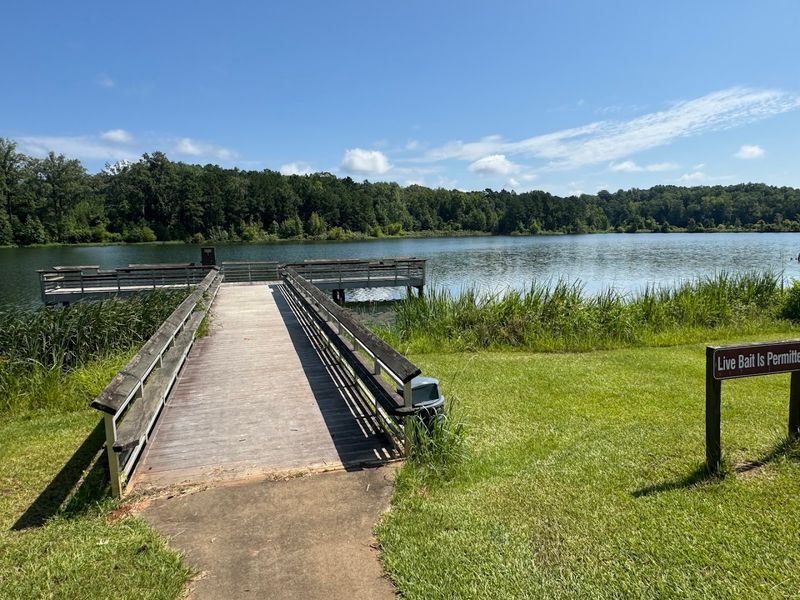 Kayaking and Fishing Along the Ocmulgee River