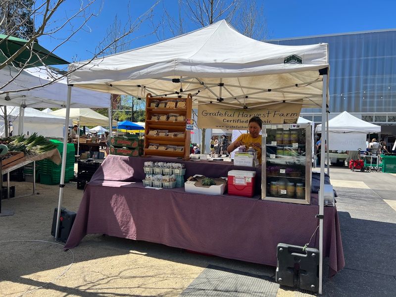 Eugene Saturday Market 