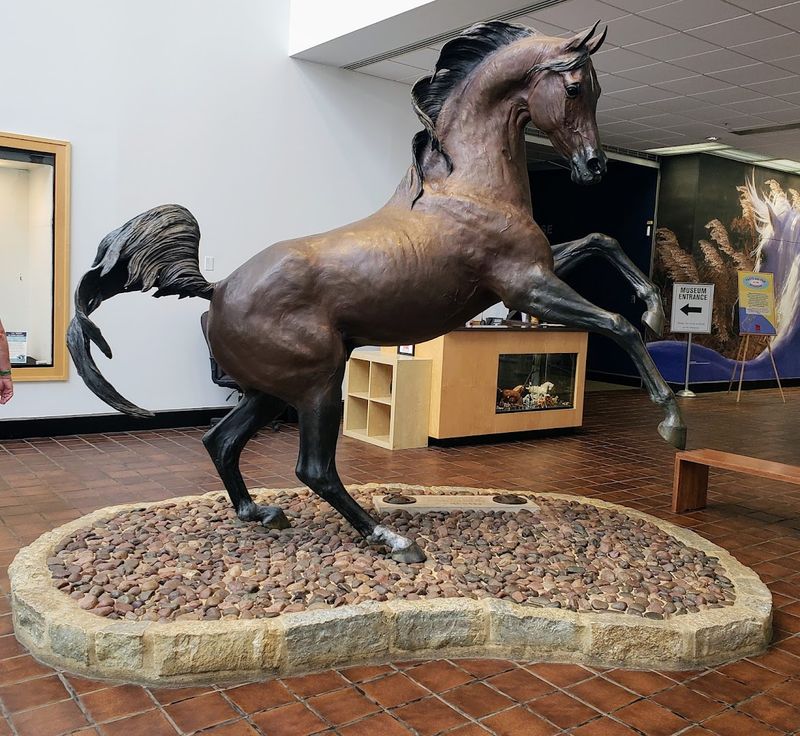 International Museum of the Horse