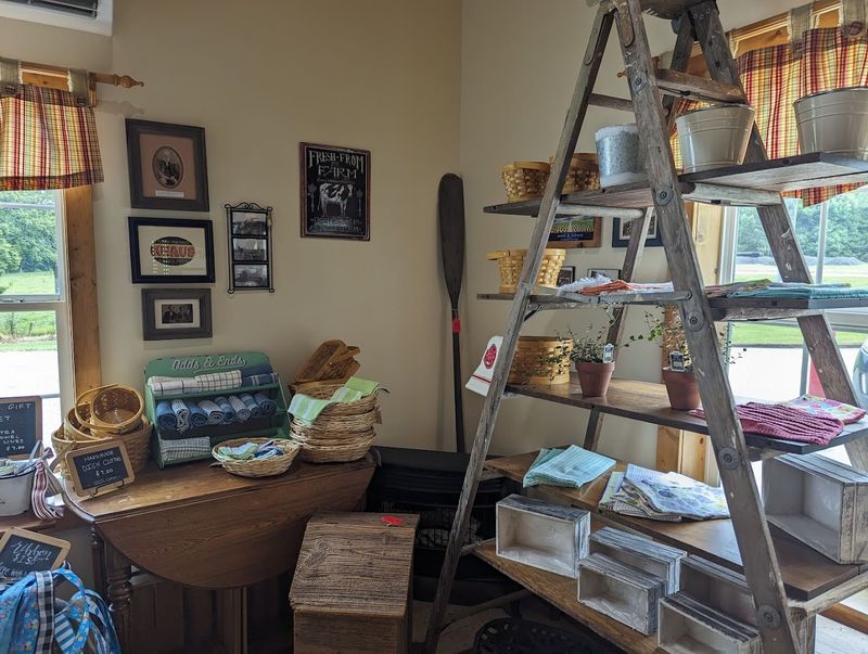 These Fresh Cinnamon Rolls In Georgia Keep People Coming Back - Decor Hint Cozy and Welcoming Atmosphere