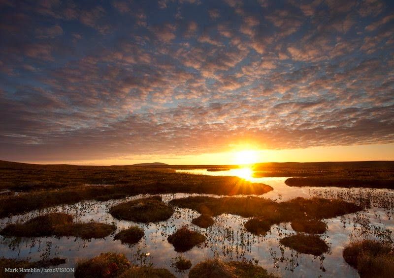 Northeast Georgia Mountains