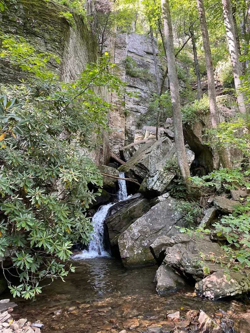 Raven Cliffs Trailhead