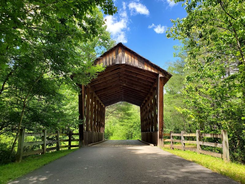 Smithgall Woods Dukes Creek Trail