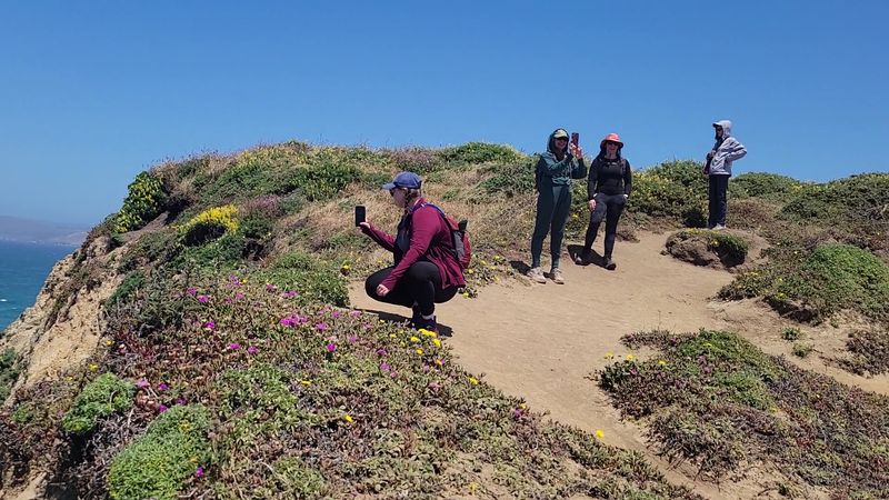 Tomales Point at Point Reyes National Seashore