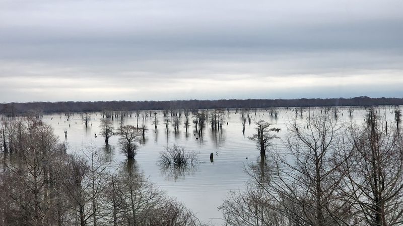 Waterway Wonders Nearby