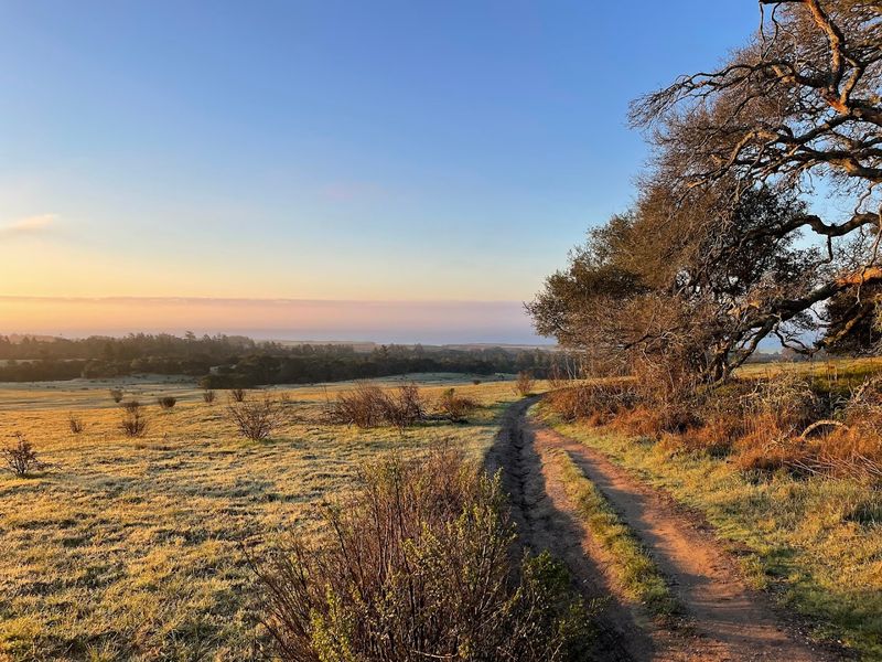 Ohlone Bluff Trail, Wilder Ranch State Park, Santa Cruz