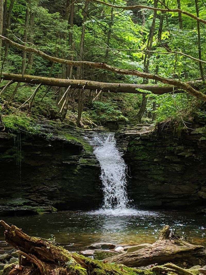 Worlds End State Park
