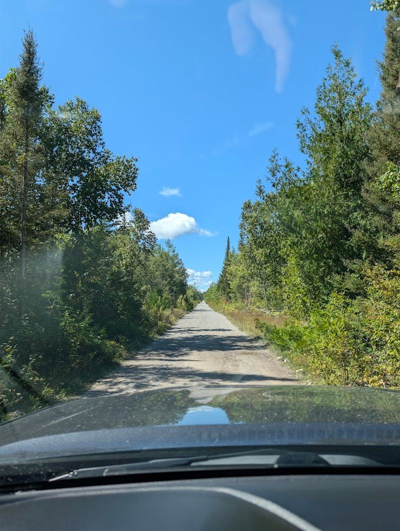 The Long Gravel Road Into The Park