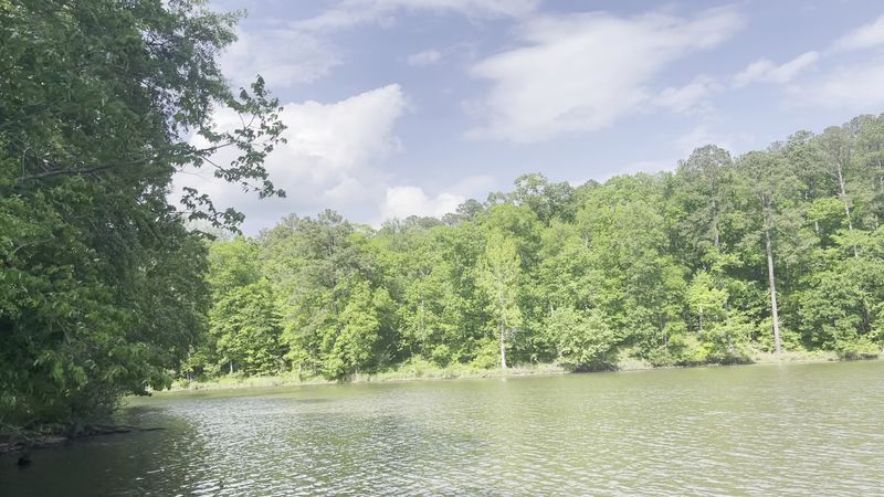 Camping Options for Every Style