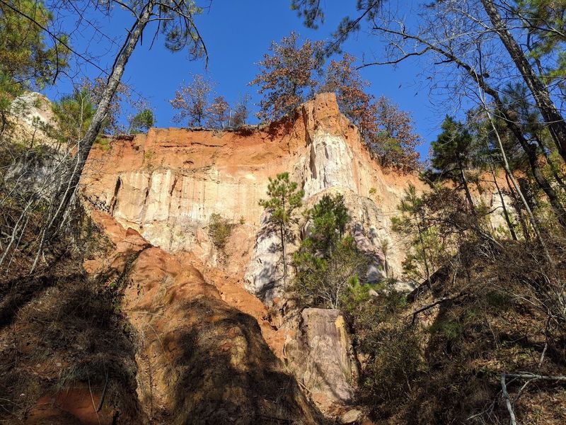 This Breathtaking Georgia State Park Feels Like It Belongs Out West - Decor Hint The Rare and Gorgeous Plumleaf Azalea in Bloom