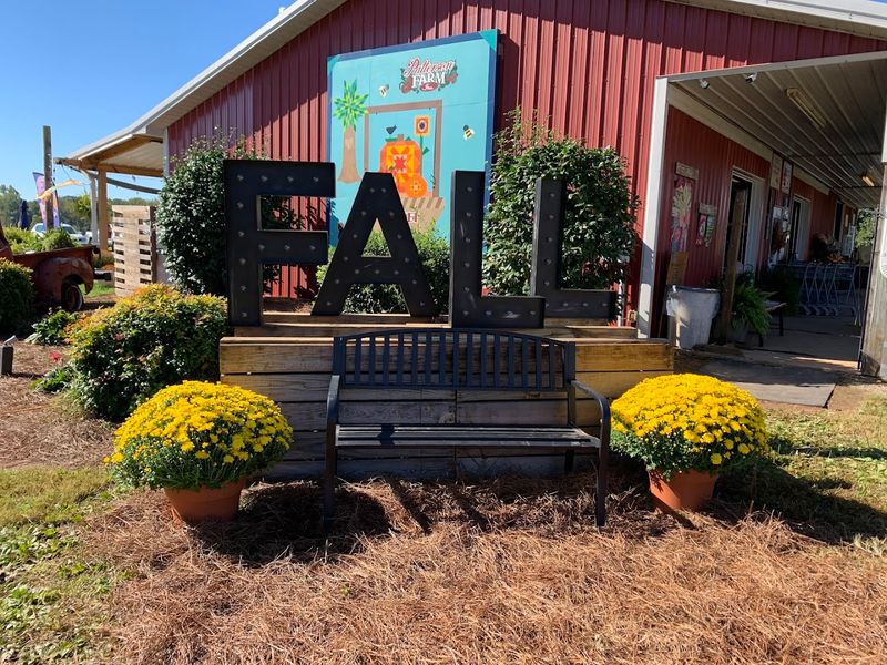 Patterson Farm Market And Tours