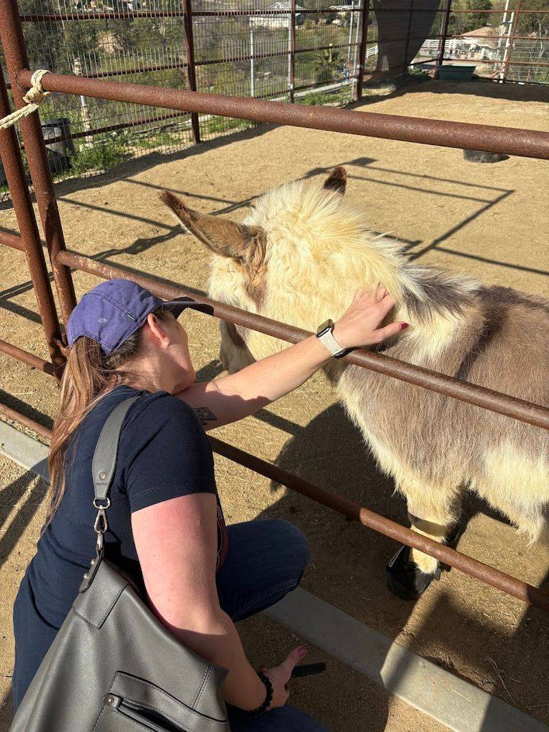 Fun For Kids And Adults