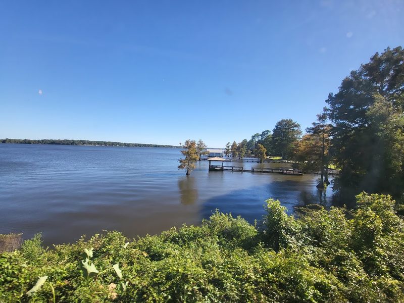 Scenic South Georgia Landscapes