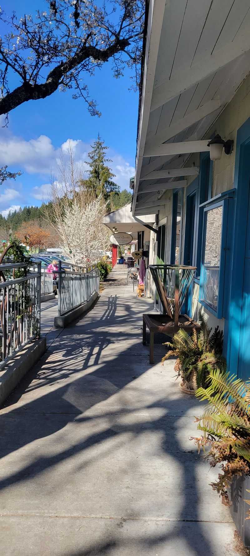 Locally Owned Businesses Keep the Economy Grounded and Personal