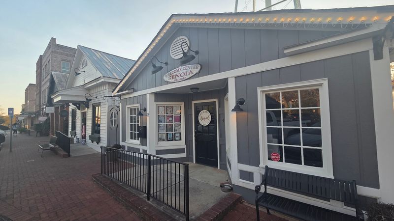This Small Town In Georgia Is Quietly Becoming One Of The Coolest Places In The South - Decor Hint Main Street Energy That Keeps Growing