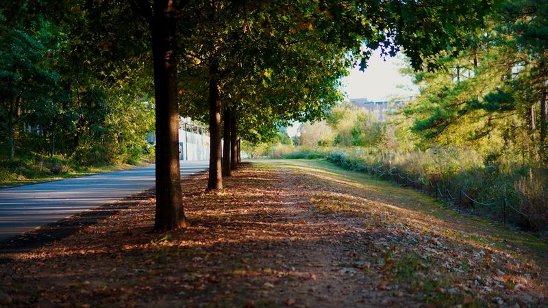 Recreational Activities for Every Fitness Level