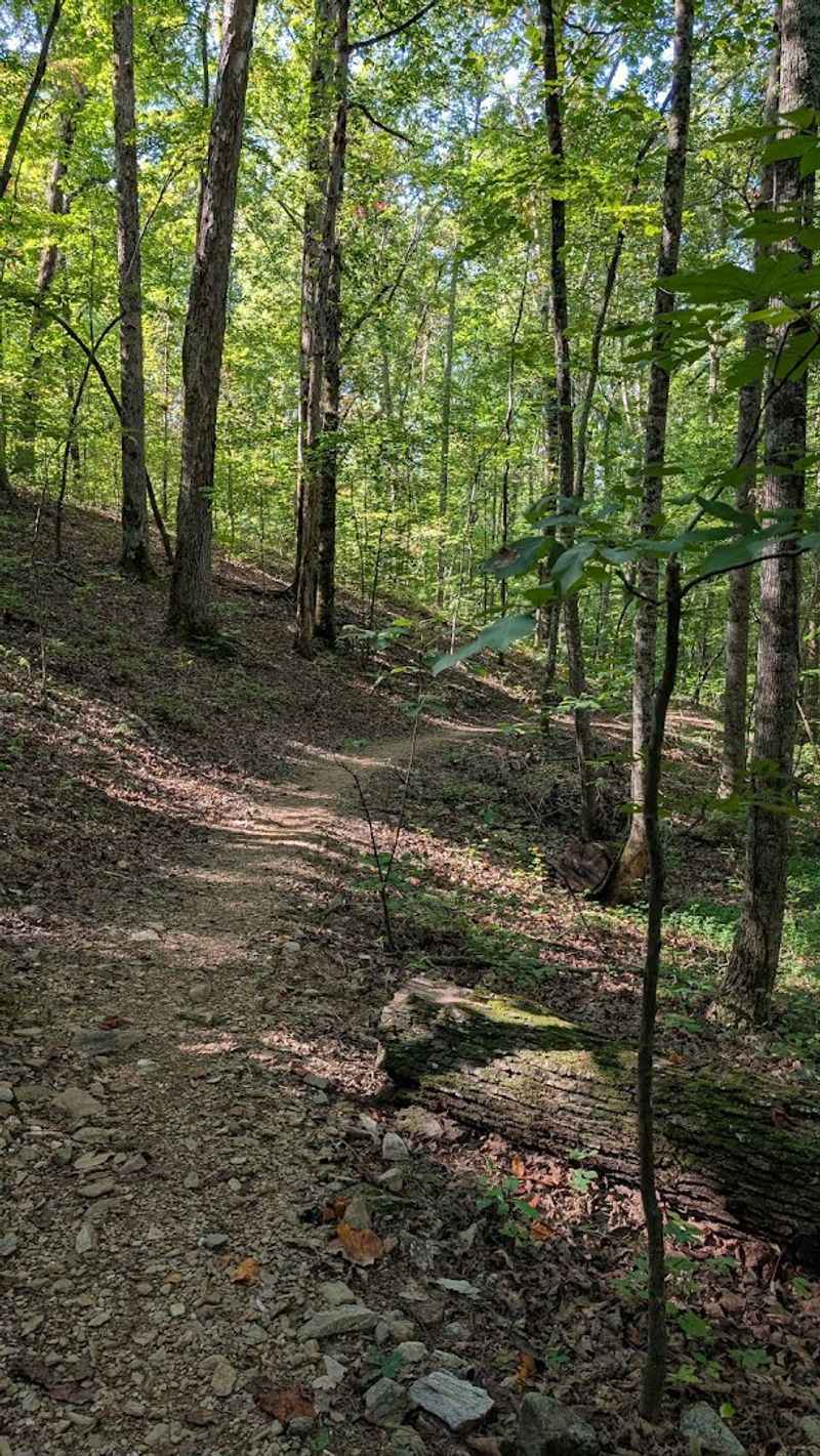 Scenic Mountain Beauty That Stops You Mid-Step