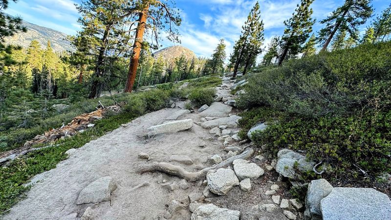 You Haven't Explored California Until You've Hiked This 2.2-Mile Trail With Million-Dollar Vistas - Decor Hint Trail Surface aAd Conditions