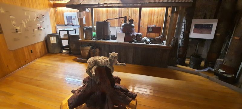 The Saturn Rocket Pine Products Connection