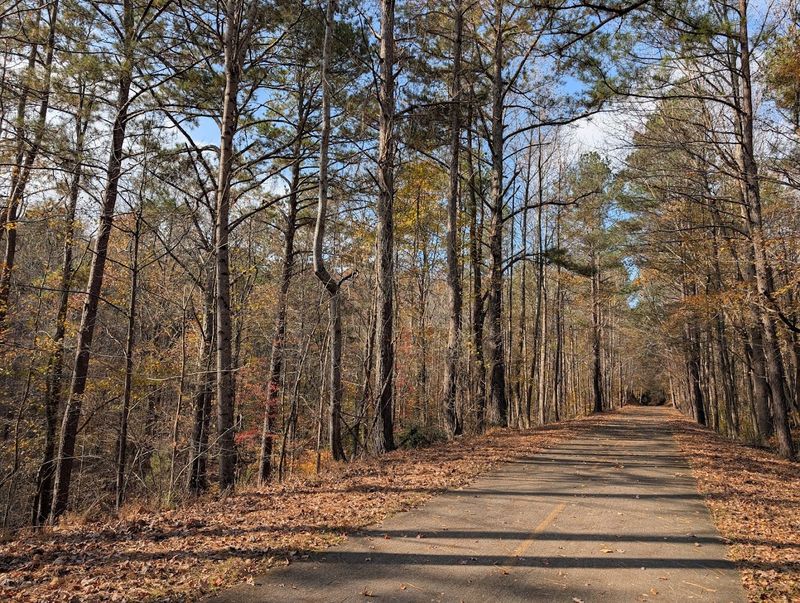 Scenic Beauty Through Forests and Fields