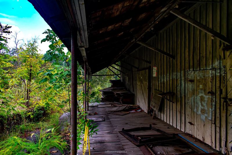 Future Plans And Preservation