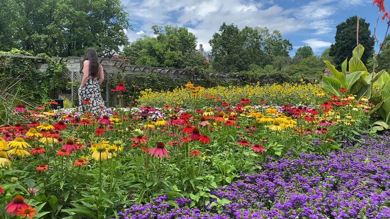 Beyond The Azaleas