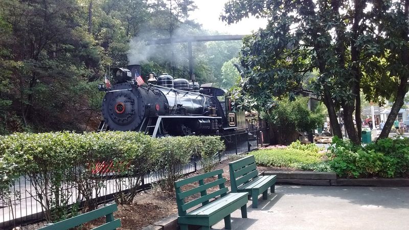Dollywood Express