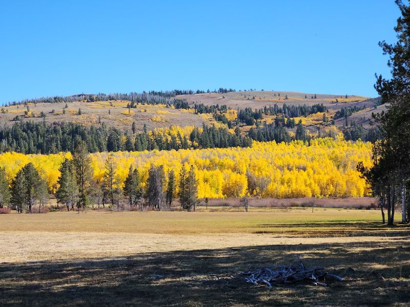 Surrounded By The Modoc National Forest