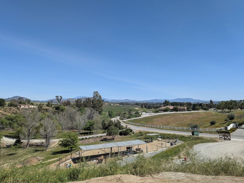 Hilltop Views Over Temecula Vineyards