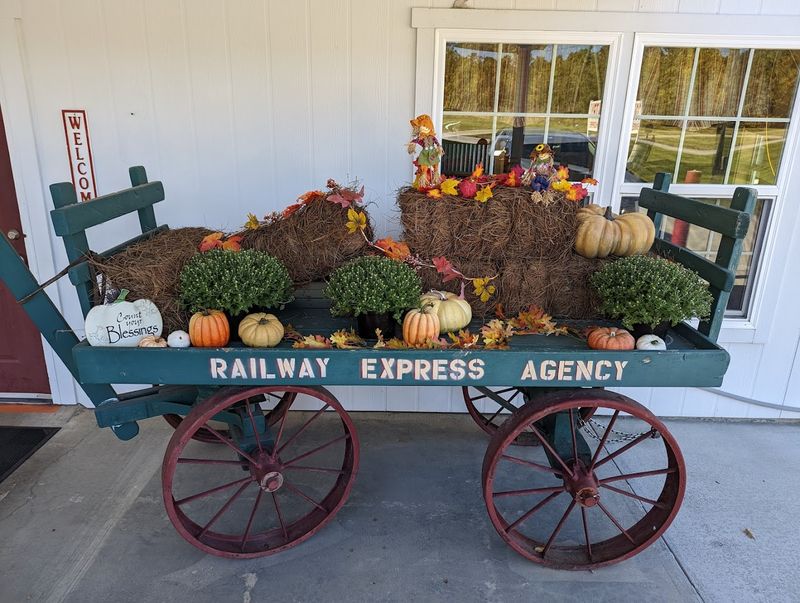 Seasonal Specials That Keep Things Exciting