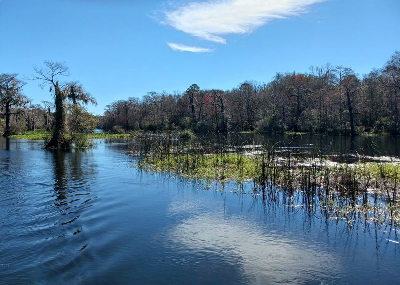 These 10 Tranquil Florida Spots Are Still Under The Radar - Decor Hint Wakulla Springs State Park, Wakulla County