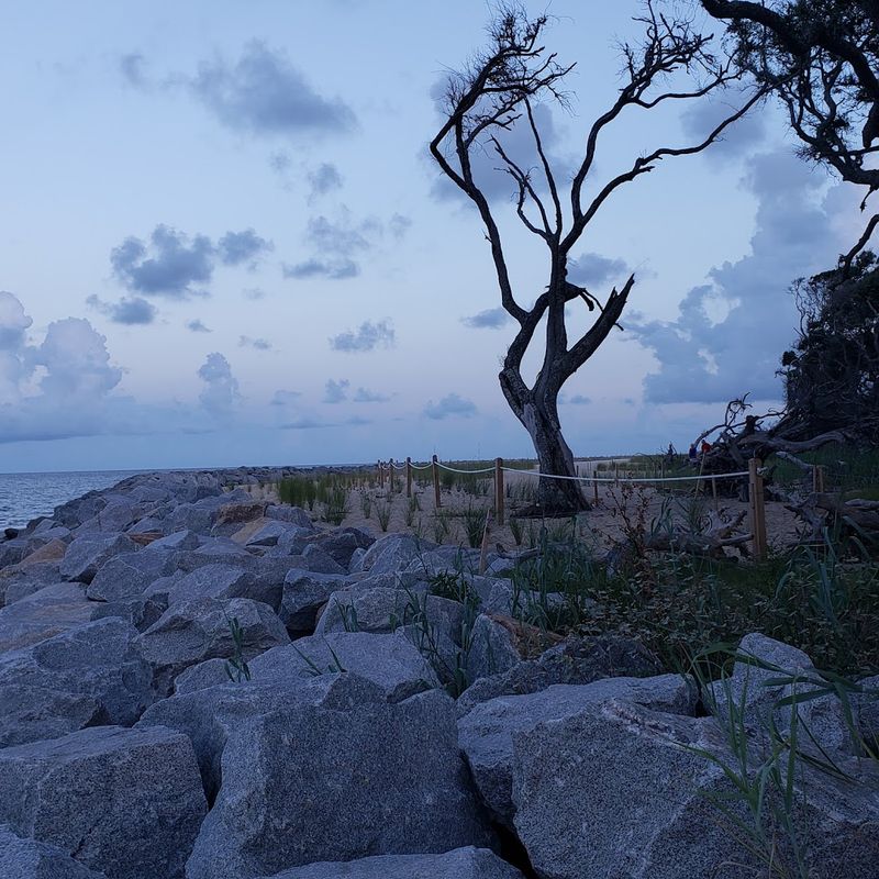 A Landscape That Looks Like Another Planet
