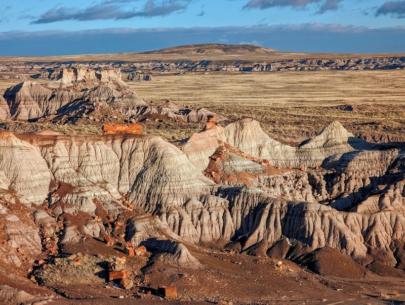 Painted Desert & Petrified Forest National Park Scenic Drive