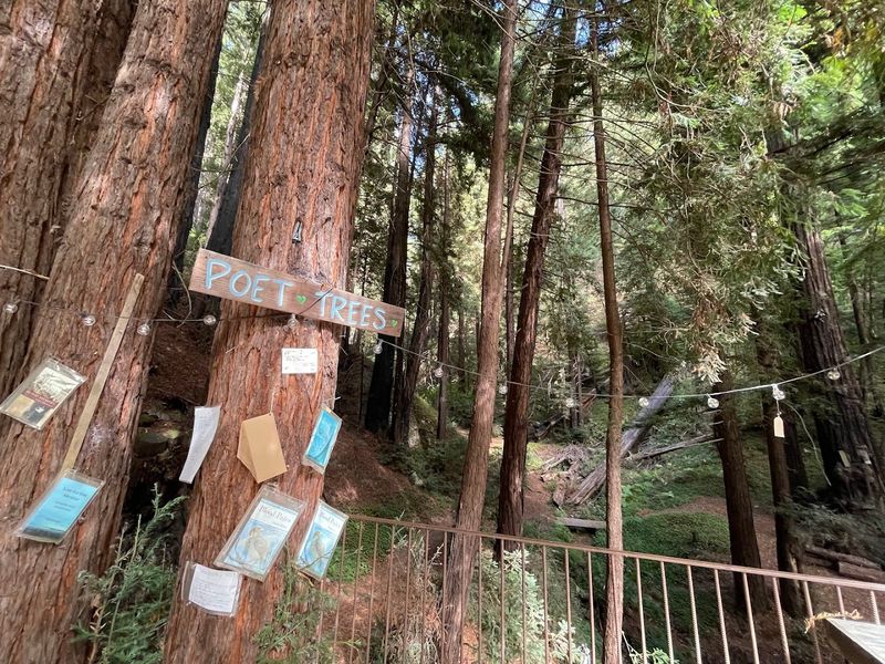 Henry Miller's Connection To Big Sur And Why It Matters