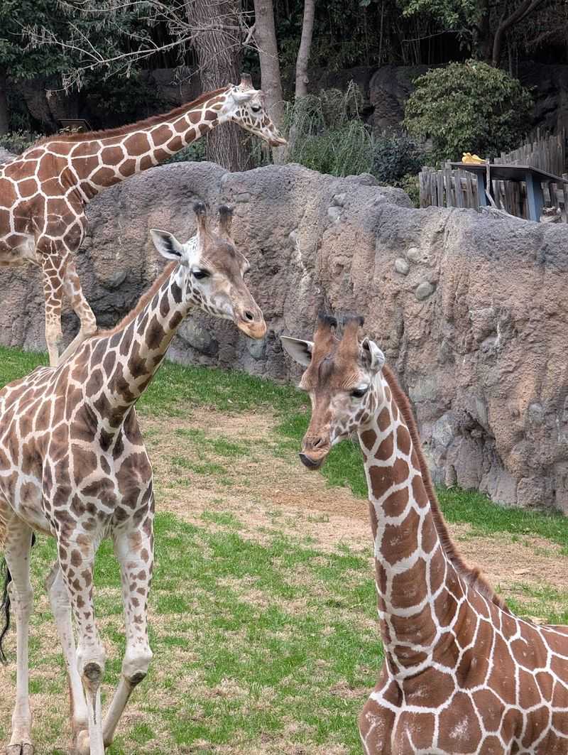 Fort Worth Zoo